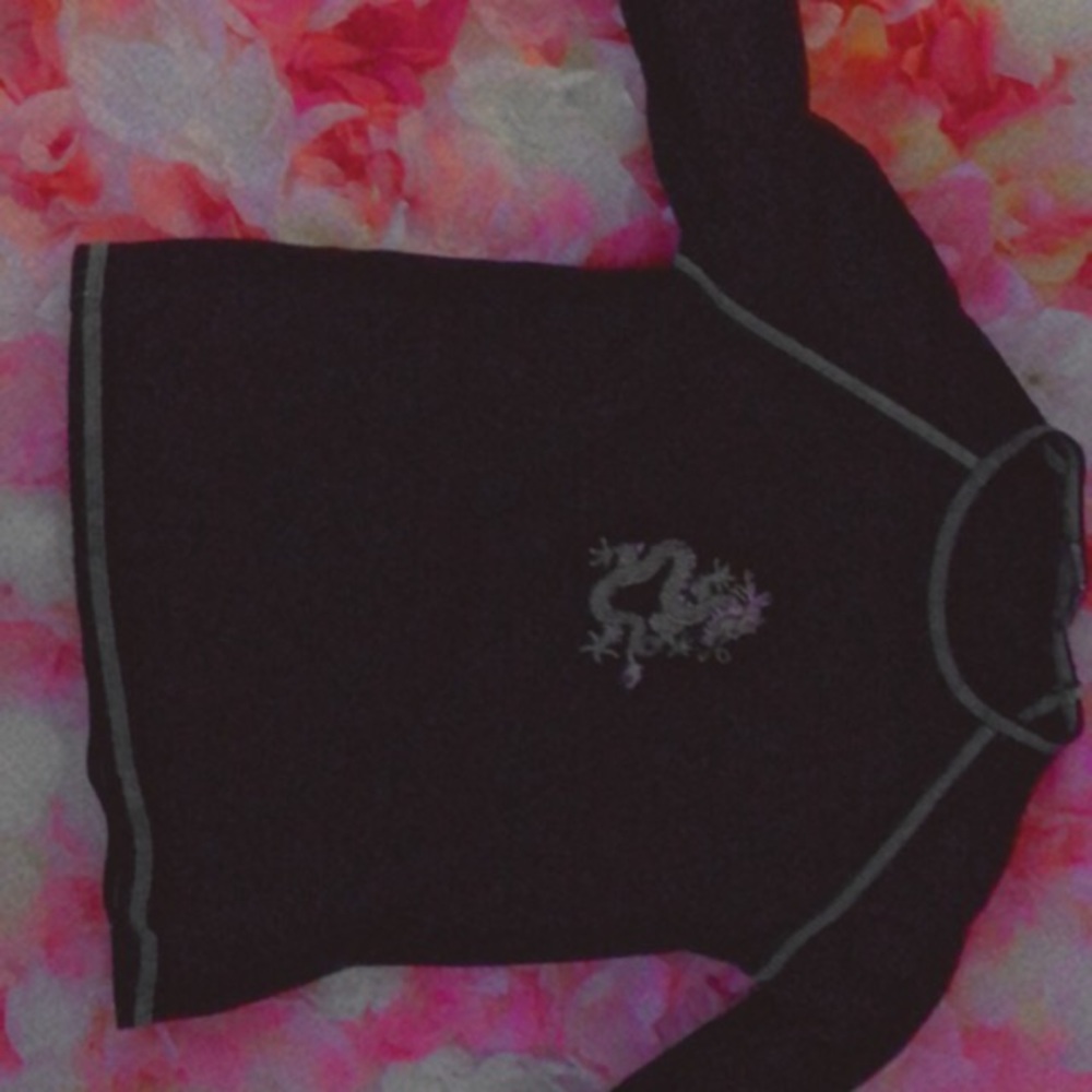 Brandy Melville women’s long sleeved dragon